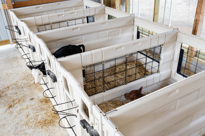 Indoor Calf Pens