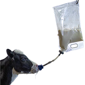 Colostrum Storage and Feeding Bags