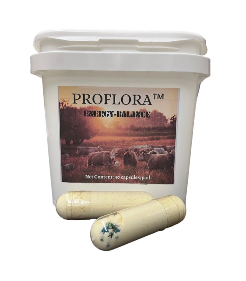 ProFlora - Cattle ENERGY Capsule